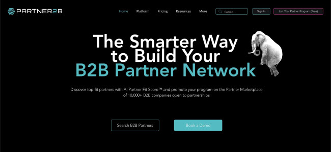 Maximizing Success Through B2B Partner Programs