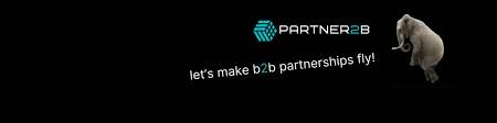 Maximizing Success Through B2B Partner Programs