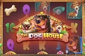 슬롯 도그하우스 즐거움과 승리의 세상