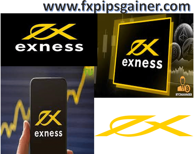 Explore the World of Trading with Exness Uae