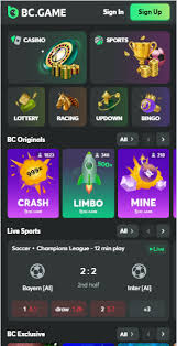 Exploring the World of Online Gambling on BC.Game