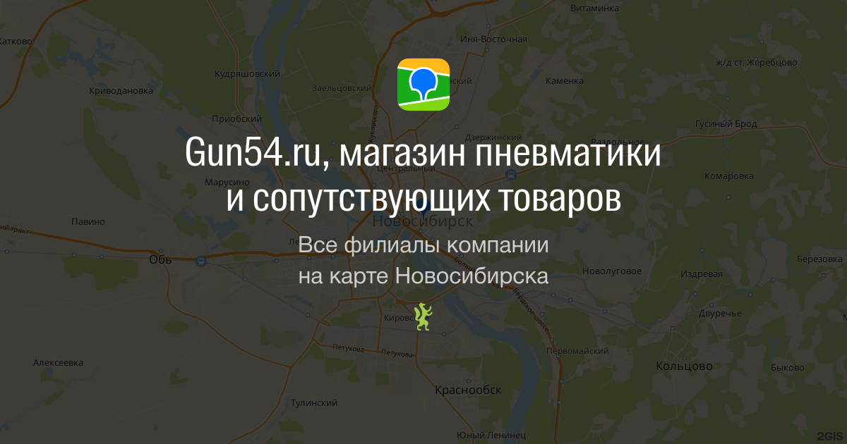 Купить Леший 2 пневматическая Идеальное решение для начинающих и профессионалов!